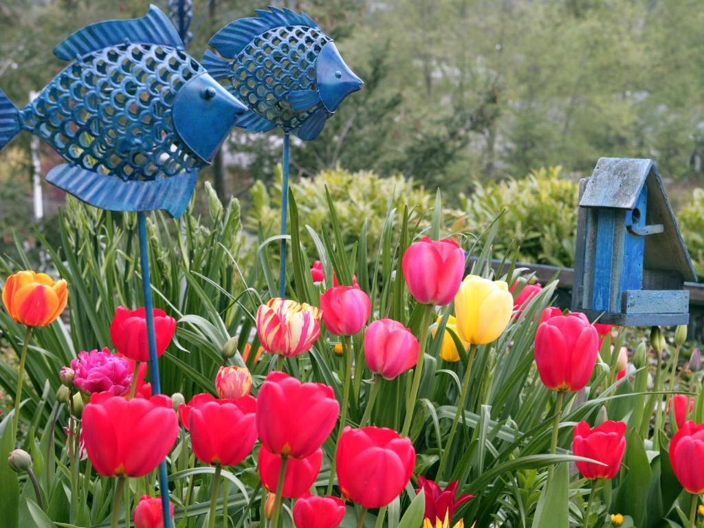 Hillside House Bed And Breakfast Friday Harbor Luaran gambar